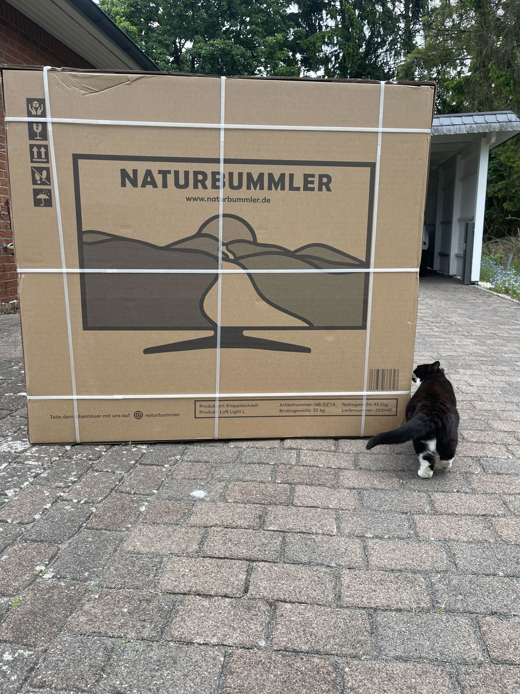 Ganz gut